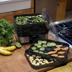 Weston Brands Specialty Appliances Weston Digital 6 Tray Dehydrator -Aroma Shop 43635899