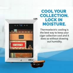 NewAir Specialty Appliances NewAir 250 Count Thermoelectric Cigar Humidor with Heating and Cooling -Aroma Shop 44298429